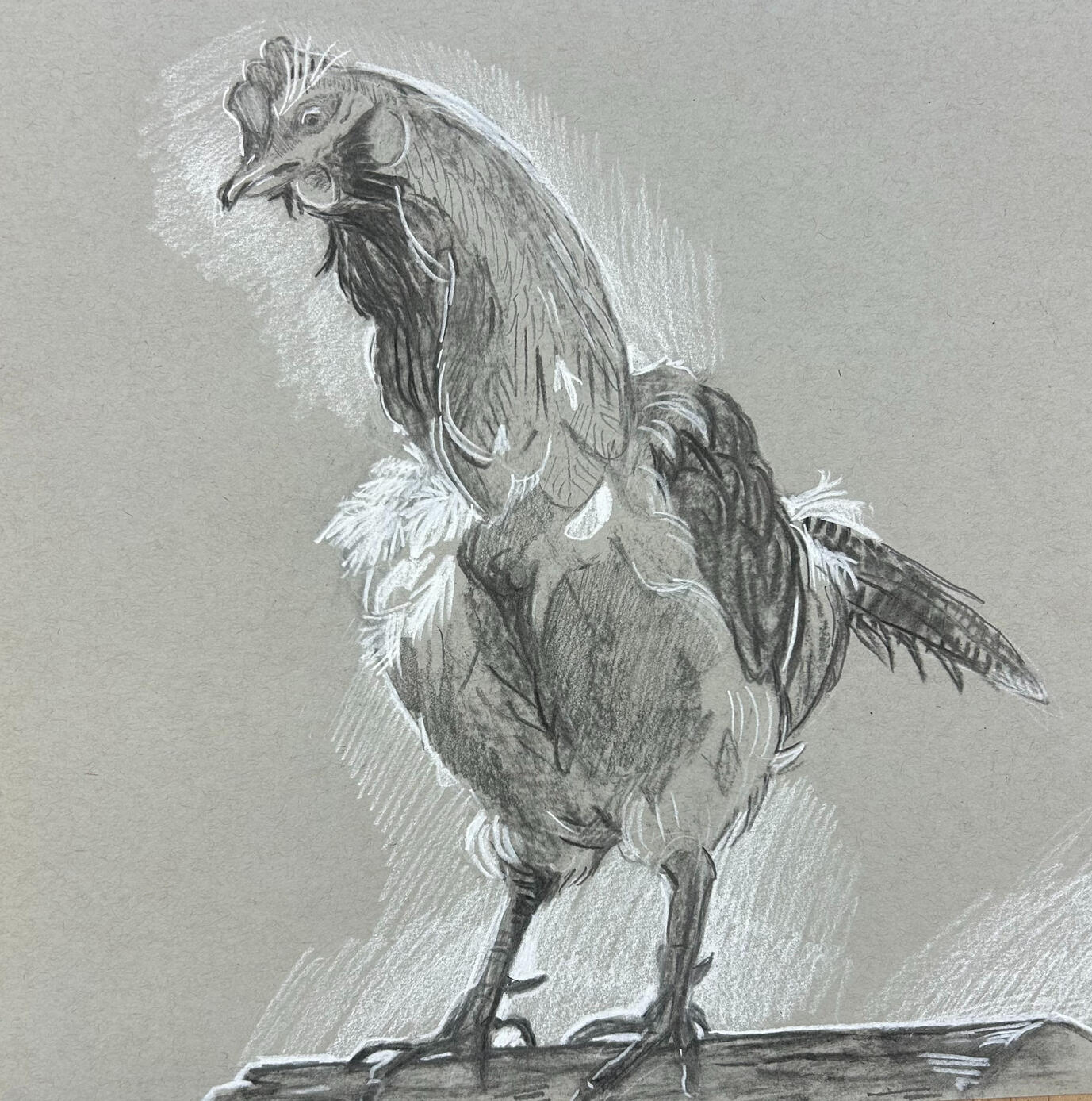 "Chicken"
